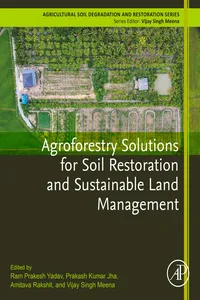 Agroforestry Solutions for Soil Restoration and Sustainable Land Management
