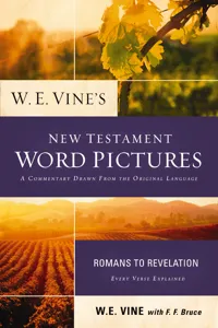 W. E. Vine's New Testament Word Pictures: Romans to Revelation_cover