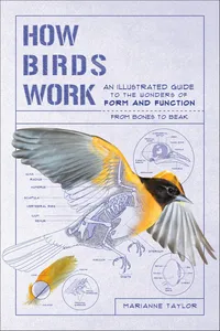 How Birds Work_cover
