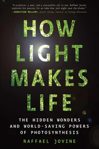 How Light Makes Life_cover