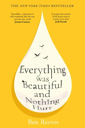 Everything was Beautiful and Nothing Hurt