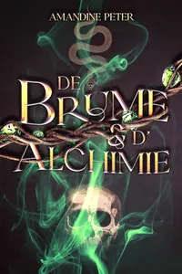 De brume et d'alchimie_cover