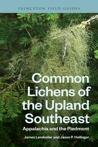 Common Lichens of the Upland Southeast_cover