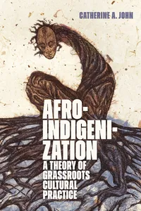 Afroindigenization_cover