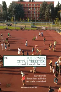 Publicness, città e territori