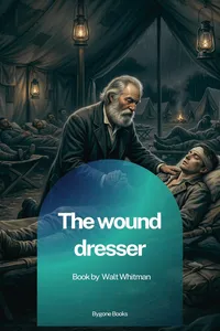 The wound dresser_cover