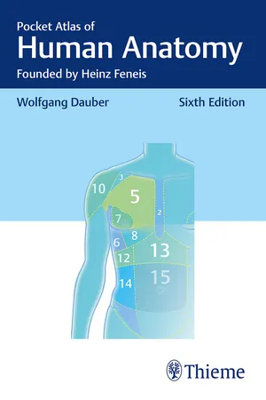 Pocket Atlas of Human Anatomy