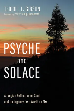 Psyche and Solace