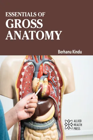 Essentials of Gross Anatomy
