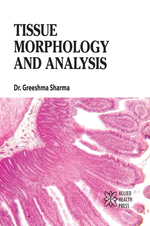 Tissue Morphology and Analysis