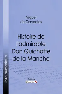 Histoire de l'admirable Don Quichotte de la Manche_cover