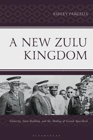 A New Zulu Kingdom