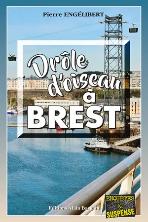 Drôle d’oiseau à Brest