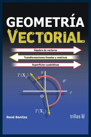 Geometría vectorial