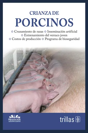 Crianza de porcinos