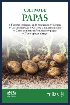 Cultivo de papas