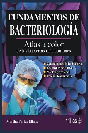 Fundamentos de bacteriología