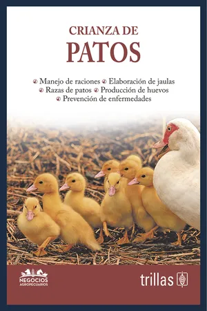 Crianza de patos