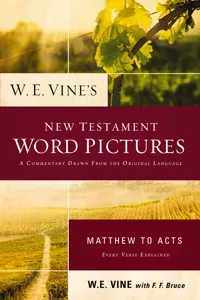 W. E. Vine's New Testament Word Pictures: Matthew to Acts_cover