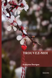 Trouvez-moi_cover