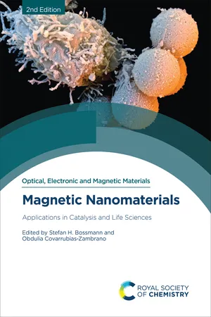 Magnetic Nanomaterials