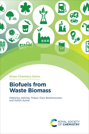 Biofuels from Waste Biomass