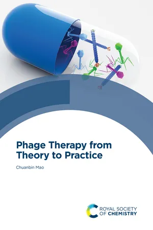 Phage Therapy from Theory to Practice