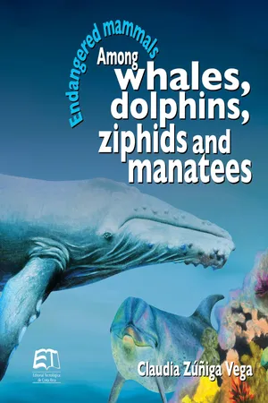 Endangered mammals. Among whales, dolphins, ziphids and manatees