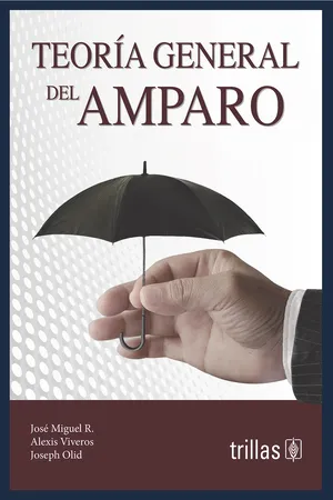 Teoría general del amparo