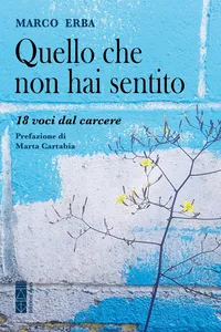 Quello che non hai sentito