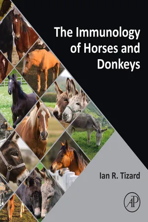 The Immunology of Horses and Donkeys