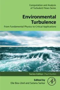 Environmental Turbulence
