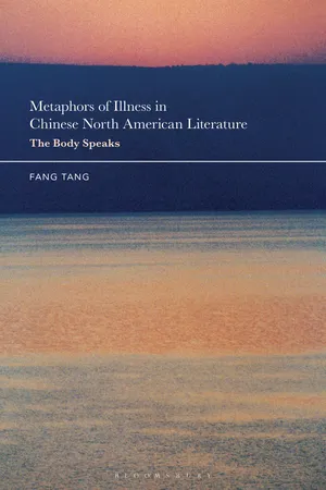 Metaphors of Illness in Chinese North American Literature