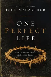 One Perfect Life_cover