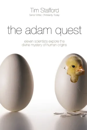 The Adam Quest