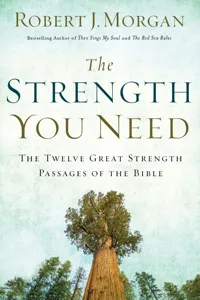 The Strength You Need_cover