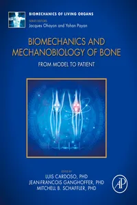 Biomechanics and Mechanobiology of Bone