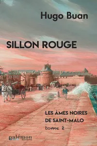 Sillon rouge_cover