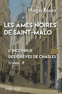 L'inconnue des Grèves de Chasles_cover