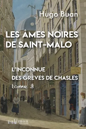 L'inconnue des Grèves de Chasles