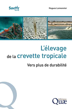 L’élevage de la crevette tropicale