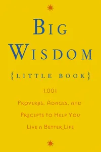 Big Wisdom_cover