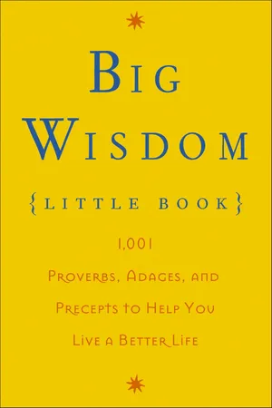 Big Wisdom (Little Book)
