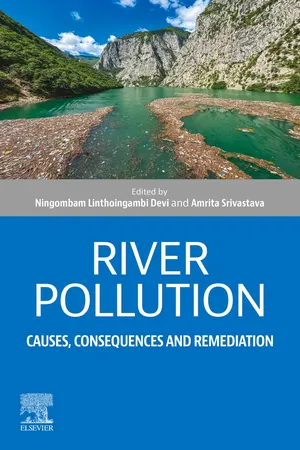 River Pollution
