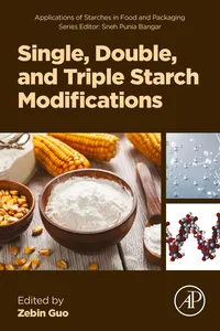 Single, Double, and Triple Starch Modifications