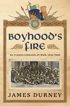 Boyhood's Fire