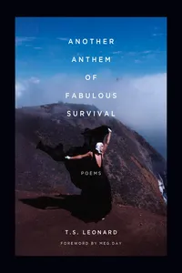 Another Anthem of Fabulous Survival_cover