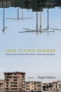 LOW FLYING PLANES_cover