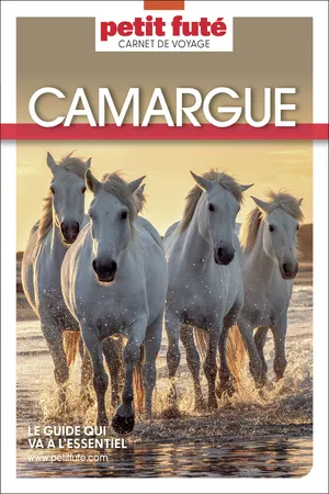 Guide Camargue 2026 Carnet Petit Futé