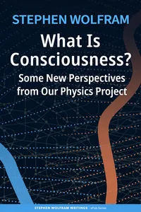 What Is Consciousness?